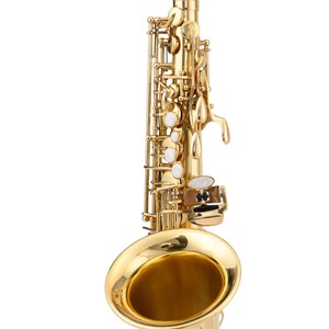 Source transfrontalière E-Flat Alto Saxophone Surface dorée laquée Côtes simples et côtes doubles pour examens débutants Utilisation universelle - Product Image 2