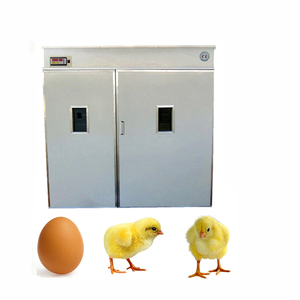 Incubadora Multifuncional Personalizada, la Mejor Incubadora para Huevos de Gallina a Bajo Precio - Product Image 6