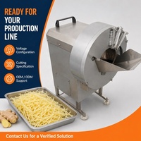 Fabrieksdirect groente snijmachine, schaafmachine en raspmachine voor gember, aardappel, wortel, knoflook, centrale keuken, OEM, ODM, maatwerk