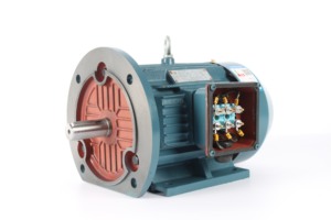 มอเตอร์เหนี่ยวนำสามเฟส OnlyPower YEH-180 IE2 กำลังไฟ 22kW 18.5KW 15KW 11KW 380V ประสิทธิภาพ IE2 ระดับ IP55 สำหรับอุตสาหกรรมและเกษตรกรรม - Product Image 4