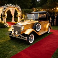Le fabricant d'origine propose une voiture électrique classique dorée de luxe avec auvent noir, d'une fabrication exquise.