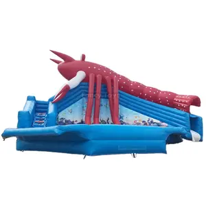 Good sales CE china inflatable water slide/commercial wet slide/inflatable slip and slide for kid on sale