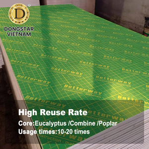 Eucalyptus Core Green PP Film Faced Plywood 18mm Waterproof Construction Plywood for Global Buyers - Product Image 2