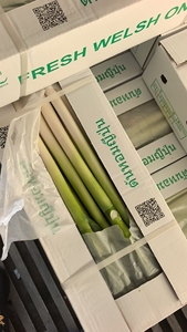 Cipollotti Verdi Cinesi Freschi e Pungenti, Ideali per Cucinare e Aromatizzare, Raccolto 2026, Vendita all'Ingrosso Diretta - Product Image 4