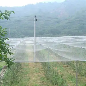 Rede anti-granizo de plástico hdpe rede de granizo preta para agricultura