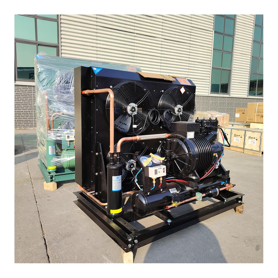 Compressor Unit Container Refrigerator Compressor Refrigeration Condensing Unit in Sale Cold Room ...