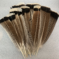 Vente en gros de plumes d'aigle de dinde brutes naturelles de 25 à 30 cm pour le bricolage, la décoration de mariage en stock
