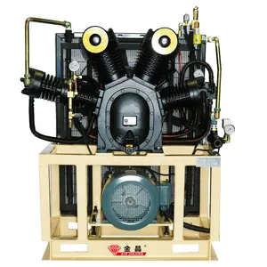 Compressore d'aria industriale da 30 Bar compressori De Aire 15 HP pistone azionato a cinghia 30 barre macchina compressore d'aria OEM