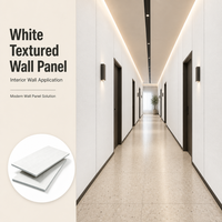 Panneau mural en PVC blanc texturé de 5 mm, série Carbon Crystal, imperméable pour l'intérieur des villas et les façades de bâtiments