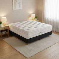 Matelas hybride Queen King Size avec surmatelas en mousse et ressorts ensachés, hypoallergénique, confortable, compressé et roulé dans une boîte