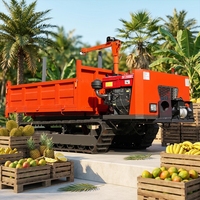 Remise sur Dumper sur chenilles de 3 tonnes pour travaux de terrassement et industries minières, avec moteur EPA