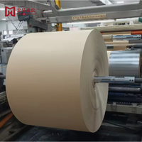 Rouleau de papier kraft absorbant imperméable de haute qualité, double face enduite, pour la fabrication de coussinets de refroidissement