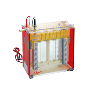 IKEME Labl Instrumento de electroforesis Tanque Sistema de electroforesis en gel Análisis de proteínas Aparato de electroforesis en gel vertical - Product Image 1