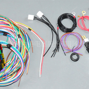 Caja de Fusibles Orite de 12 Vías, Arnés de Cableado Automotriz, Aislamiento de PVC de 12V, IP20, Personalizable - Product Image 2