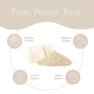 Hericium Eerinius निकालने कैप्सूल मस्तिष्क और आंत स्वास्थ्य हर्बल पूरक ओम निजी लेबल अनुकूलन कारखाना - Product Image 4