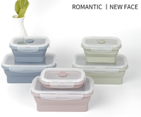 Boîte à lunch pour enfants en silicone pliable sans Bpa ODM et OEM pour bol adulte