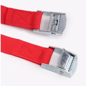 Biểu tượng tùy chỉnh in hàng hóa Tie xuống lashing dây đai với cam khóa Khóa - Product Image 6