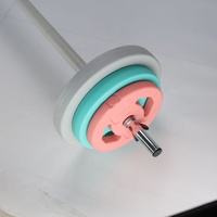 Disque de musculation Qimeng personnalisé, rempli de sable coloré, à deux trous, pour usage domestique, unisexe, en PE et ciment