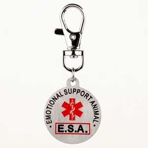 Bán buôn tùy chỉnh thép không gỉ dịch vụ Dog ESA Pet tag cá nhân với mô hình thư và kim loại Keychain - Product Image 2