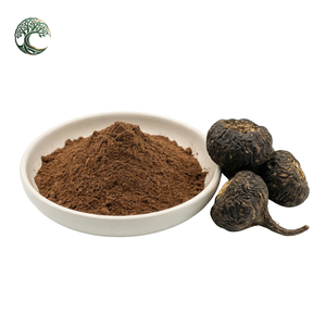 Extrait Herbal <span class=keywords><strong>Noir</strong></span> de Racine en Poudre de Qualité Alimentaire, Extrait par Solvant, pour Hommes : Libido, Énergie, Endurance, Performance et Bien-être Sexuel - Product Image 1