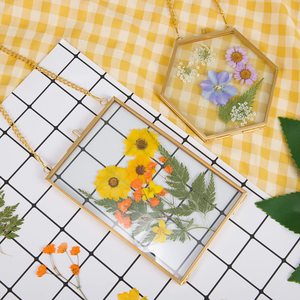 Gran oferta, <span class=keywords><strong>marcos</strong></span> de <span class=keywords><strong>flores</strong></span> prensadas verticales transparentes doradas <span class=keywords><strong>con</strong></span> cadena, marco de fotos flotante de vidrio transparente doble de cobre - Product Image 4