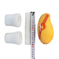 EPE Fruit Foam Net Cover