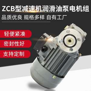 Ensemble moteur de pompe à huile lubrifiante de type ZCB fourni par le fabricant, pompe à huile de rotor, réducteur avec fonction de vidange - Product Image 5