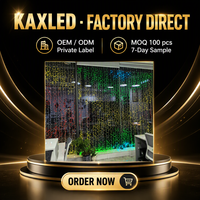 Rideau lumineux LED étanche effet cascade pour fenêtre, contrôle par points RGB, pour mariage, fête, décoration paysagère commerciale, vente en gros