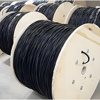 Câble solaire super robuste résistant à l'usure et au gel, norme EN50618, pour projets photovoltaïques industriels