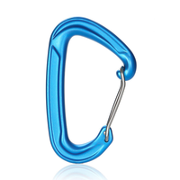 Mousqueton en aluminium en forme de D certifié CE 22kN pour l'escalade professionnelle, équipement de sécurité, équipement de sauvetage en plein air, connecteur