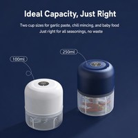 Mini Elektrische Knoflookblender 250ml Draagbare Voedselhakselaar RVS Messen Keuken Groothandel