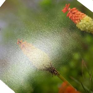 Rouleau de <span class=keywords><strong>toile</strong></span> de papier peint de décoration intérieure d'art moderne de haute qualité Offre Spéciale - Product Image 3