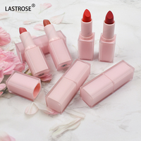 Rouge à lèvres en velours mat neutre longue durée en tube carré Nouvelle formule liquide pour une couverture et un confort améliorés