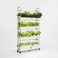Système de jardinage vertical hydroponique intelligent toute l'année, 4 niveaux, éclairage LED TSP 210 pour culture toute l'année, pompe à eau automatique