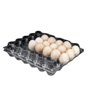 Best Quality China Manufacturer Aluminium Tray Refiner Egg Tart Tamil Nadu Machine