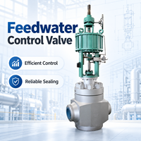 Vanne de régulation d'eau de alimentation pour système de chaudière de centrale électrique