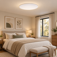 Plafonnier rond à profil bas en gros, coque blanche mate, structure à verrouillage par torsion, pratique pour l'entretien et le remplacement de la lampe