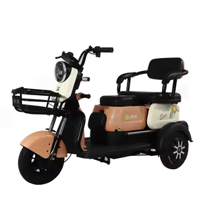 <span class=keywords><strong>Scooter</strong></span> eléctrico de fábrica Venta caliente 60V 20Ah 500W Bicicletas eléctricas Triciclo eléctrico de 3 ruedas - Product Image 3
