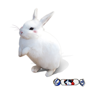 Pin de Solapa Personalizado de Conejo de Níquel Negro, Modelo de Metal Personalizado <span class=keywords><strong>para</strong></span> Recuerdo o Regalo, Animal de <span class=keywords><strong>Anime</strong></span>, Esmalte Duro Plateado - Product Image 5