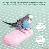 Perchoir pour perroquet, accessoire de cage à oiseaux, en résine, forme de sorbet, station de griffage, pierre à griffer pour le calcium, pour petits animaux mignons