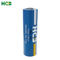 HCB ER14505 avec broches à souder AA 3.6V batterie au lithium primaire pour capteurs d'alarmes de fumée LoRa IoT suivi GPS