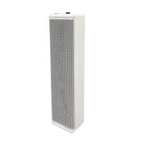 Système de sonorisation professionnel DS50 100 Watts, enceintes colonne 100w pour DJ, prix d'usine