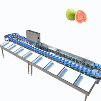 Avocado Aardbei Mango Koffie Fruit Groente Mais Voedsel Kreeft Kaas Speelgoed Ei Vis Milieuvriendelijke Sorteermachine KHLH-6J