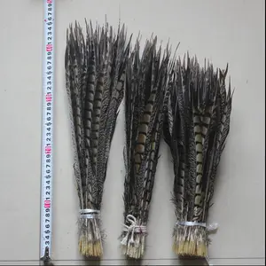 Wholesale 10-110 Cm Natural Lady Amherst Pheasant Tails Feather For Carnival Backpack Costume Decor