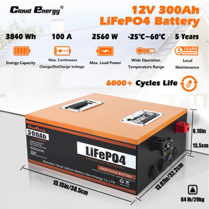 12 v 100ah 200ah 300ah bms lifepo4 batteria bateria de litio 12 volt lipo4 lfp4 solaire rv <span class=keywords><strong>lifeo4</strong></span> BMS batteria solare 12.8v - Product Image 2