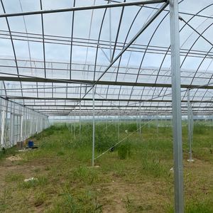 Película plástica de invernaderos de túnel polivinílico de bajo precio para planta de cerezo - Product Image 1