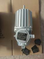 Actionneur hydraulique électrique industriel pour frein de tambour 220V/380V ED23/5 ED50/6 ED80/6 Frein de grue EOT Protection IP65