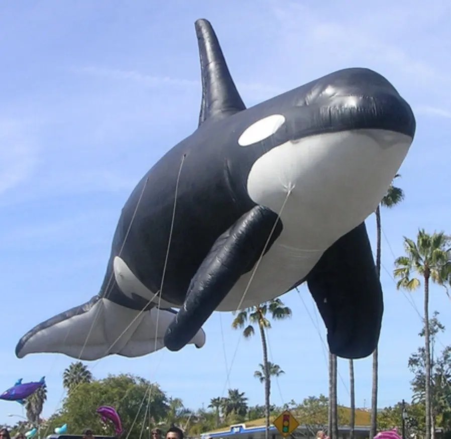 Black and white color inflatable shark helium balloon flying balloon for sale