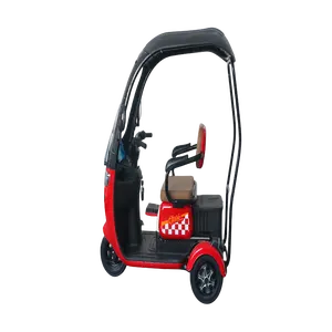 800wattsQ3 scooter de movilidad para ancianos Motor eléctrico furgoneta Triciclo de carga con triciclo eléctrico triciclo para carga