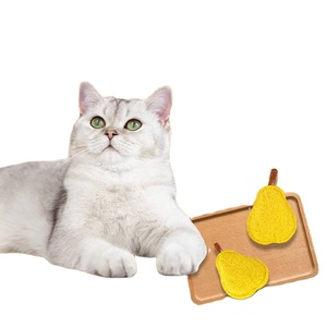 Jouet pour chat Zenidoo en forme de gourde éponge, outil de nettoyage dentaire, d'entraînement et anti-ennui, marque Loofah, contenant de la catnip - Product Image 1